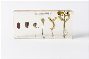 Image description is not available for 2018.5.1